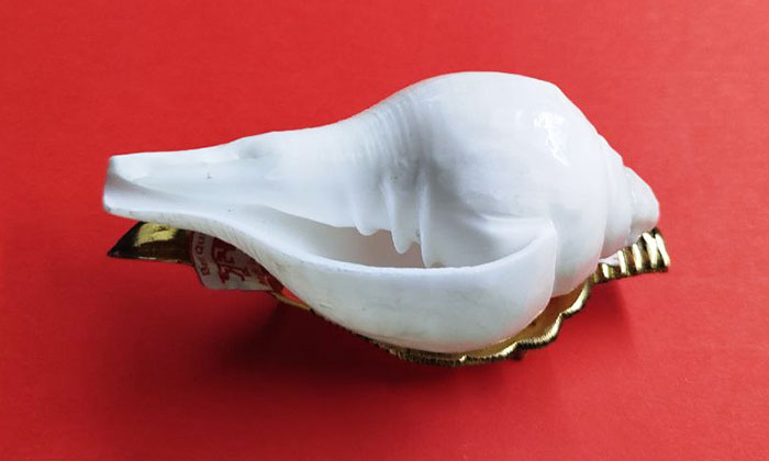 Mушля для пуджі з підставкою