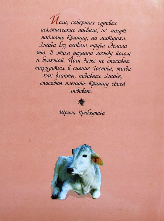 Дамодара связанный любовью