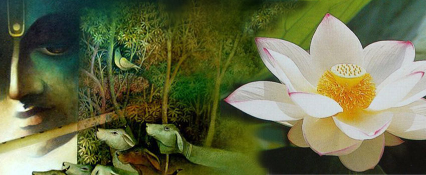 09-krishna-lotos